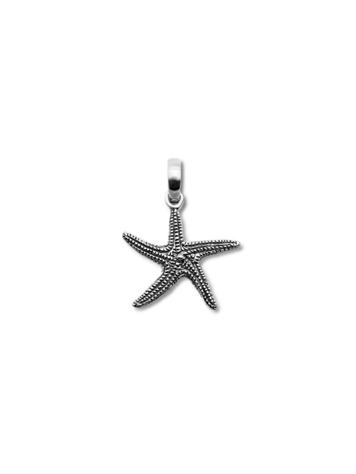 Starfish ဆွဲသီး