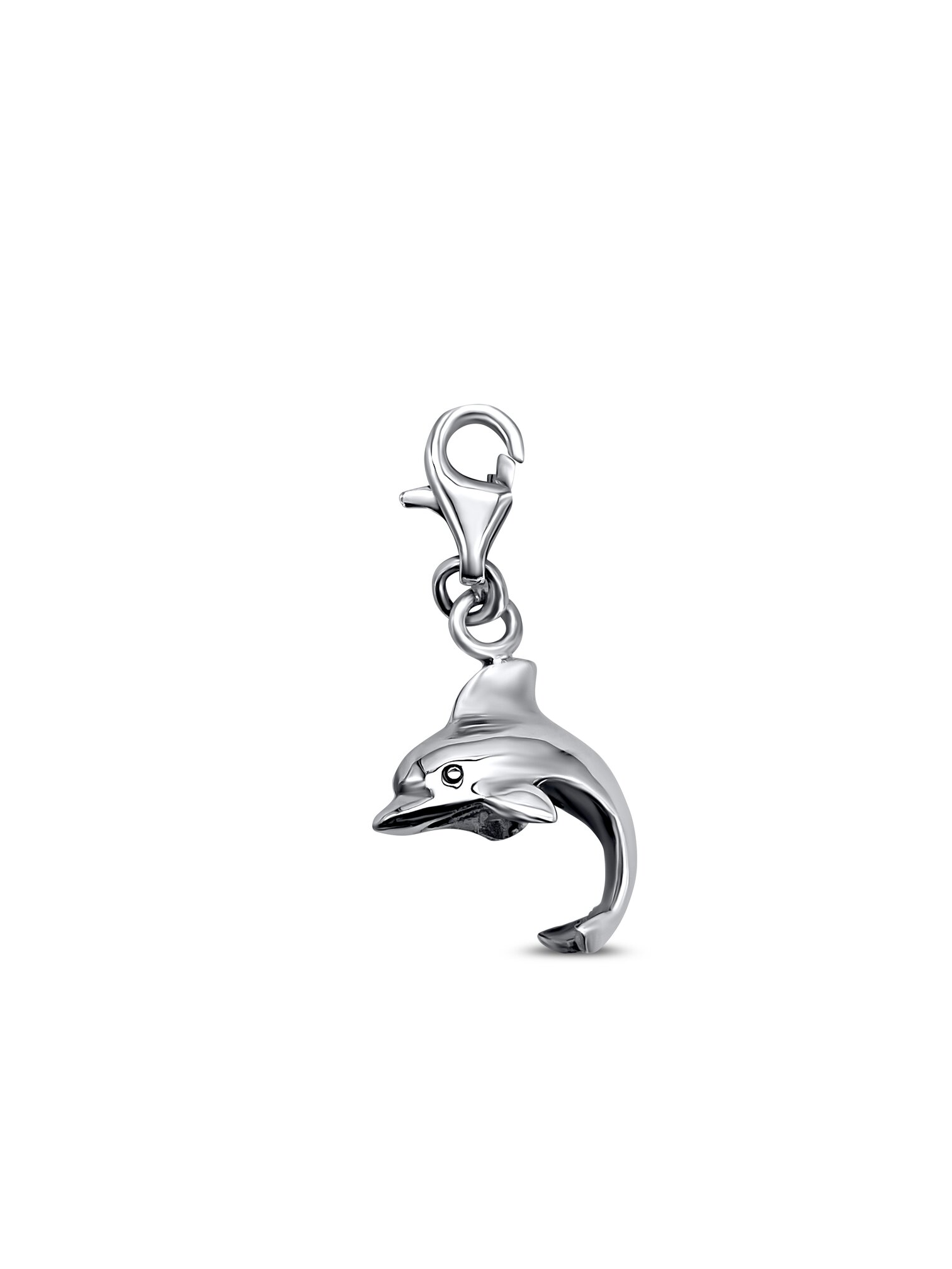 Dolphin Charm
