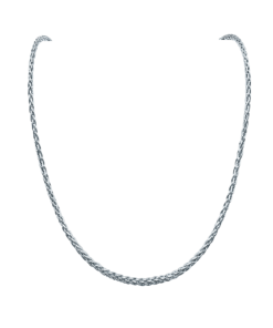 စပါးစေ့ကြိုး (ထူ)